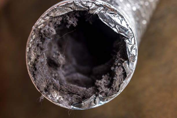 Best HVAC System Cleaning  in Apple Creek, OH